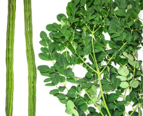 Moringa - Mouroum